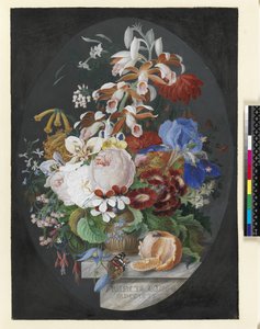 Em uma borda de mármore, uma laranja descascada e um pote marrom decorado contendo flores que incluem rosas, pelagonium, orquídea tropical, clemetis herbácea com uma borboleta almirante vermelho, 1792 (guache sobre vell